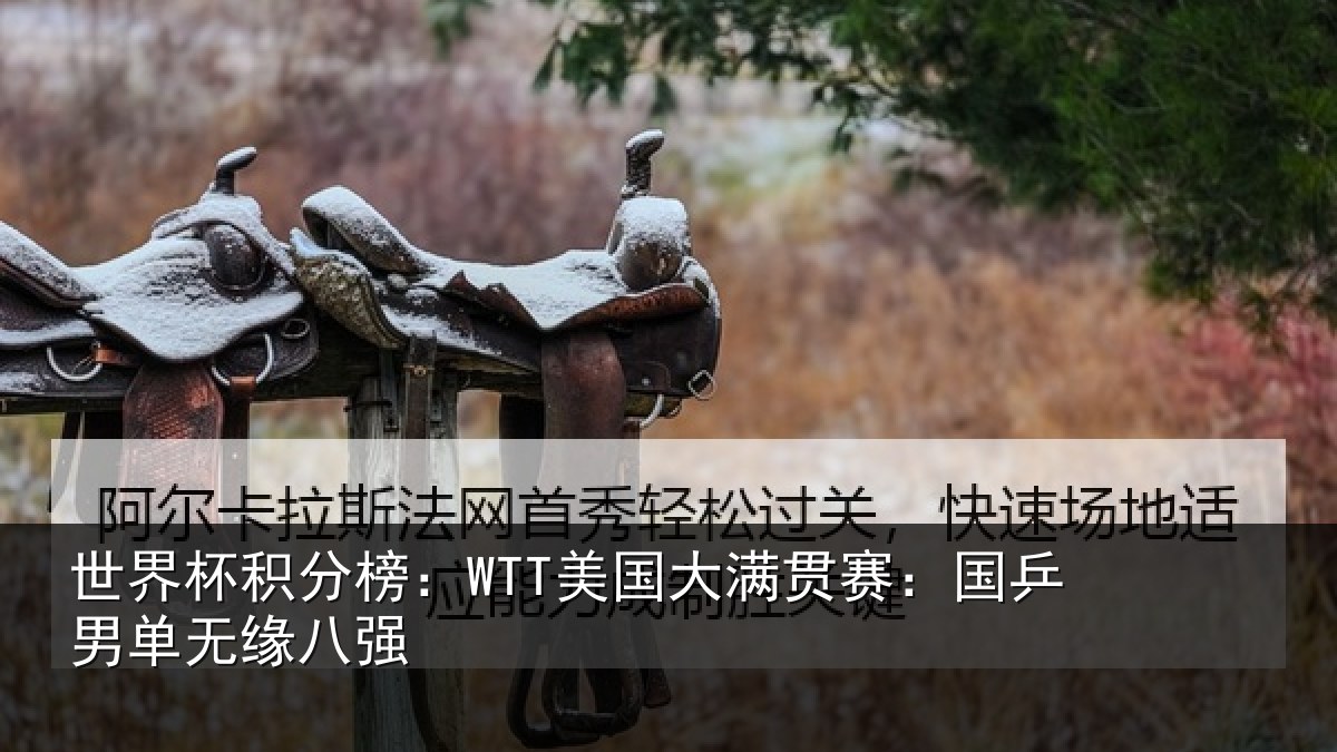 世界杯积分榜:WTT美国大满贯赛:国乒男单无缘八强