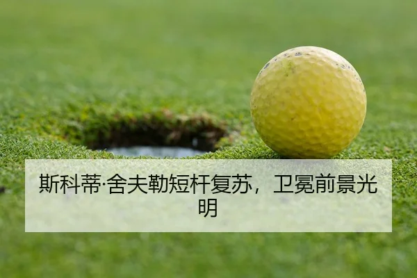 si-ke-di-she-fu-lei-duan-gan-fu-su-wei-mian-qian-jing-guang-ming-2-765.jpg