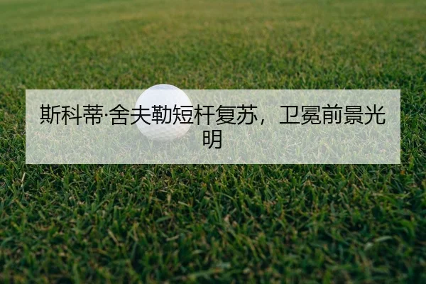 si-ke-di-she-fu-lei-duan-gan-fu-su-wei-mian-qian-jing-guang-ming-3-593.jpg