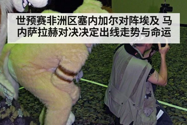 世预赛非洲区塞内加尔对阵埃及 马内萨拉赫对决决定出线走势与命运